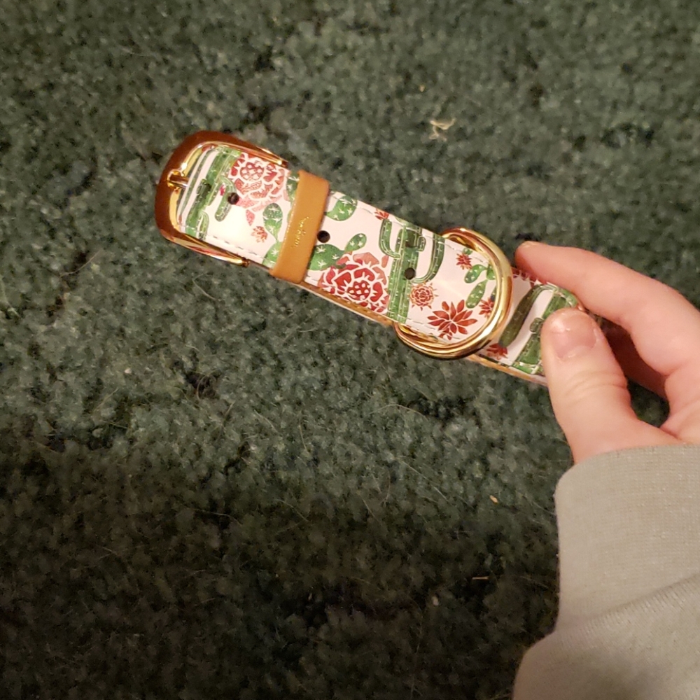 Cactus Friendship Collar